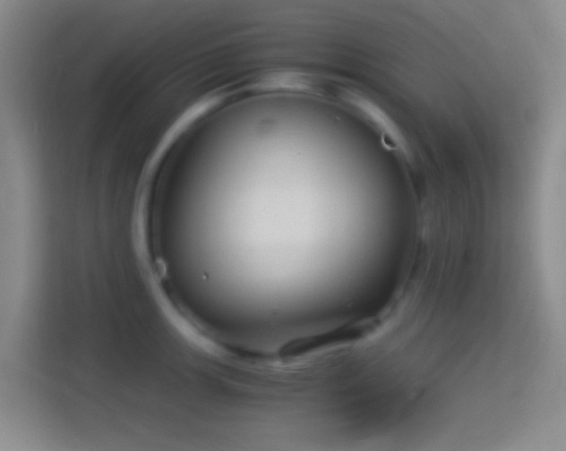 X0000114391139200910231011