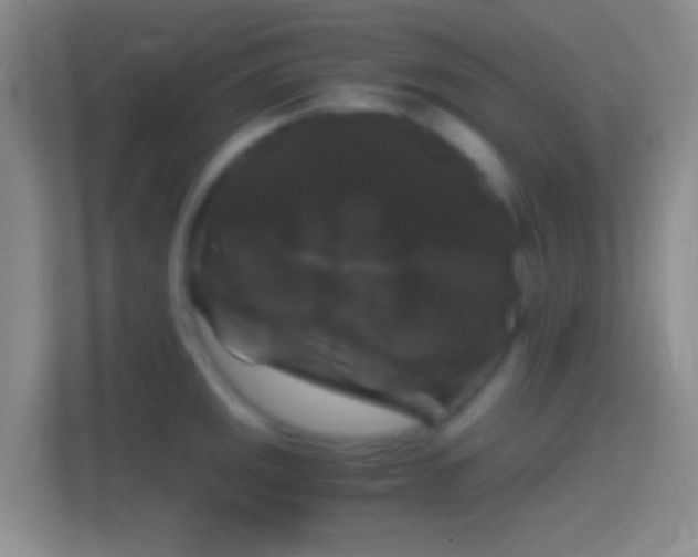 X0000114391141200910231011