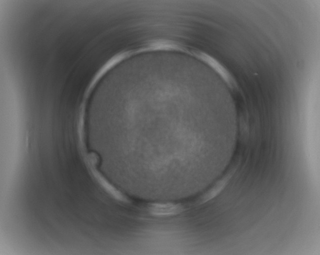 X0000114391142200910231011