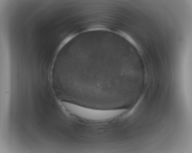 X0000114391145200910231011