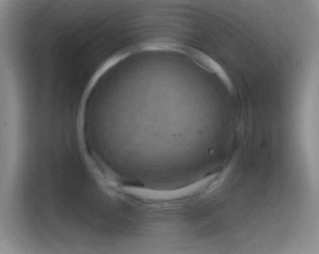 X0000114391146200910231011