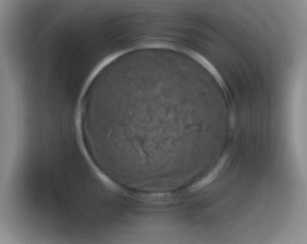 X0000114391149200910231011