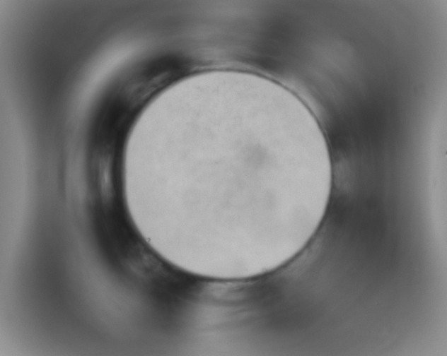 X0000114391150200910231011