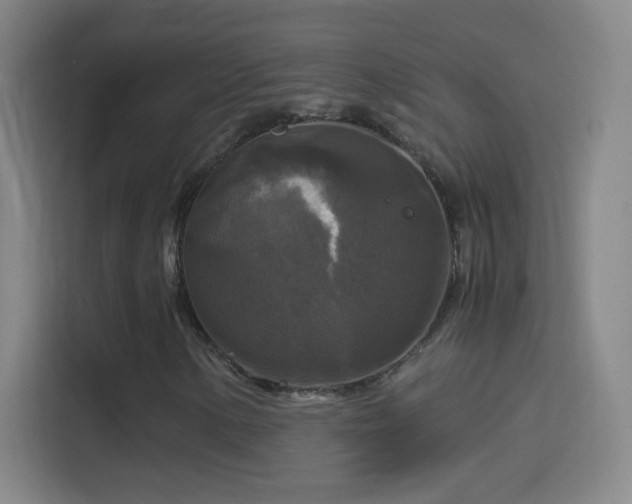 X0000114391154200910231011
