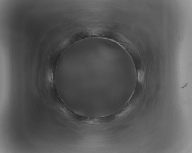 X0000114391155200910231011