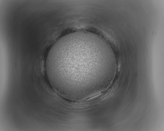 X0000114391156200910231011