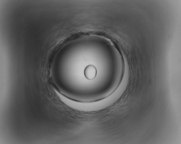 X0000114391157200910231011