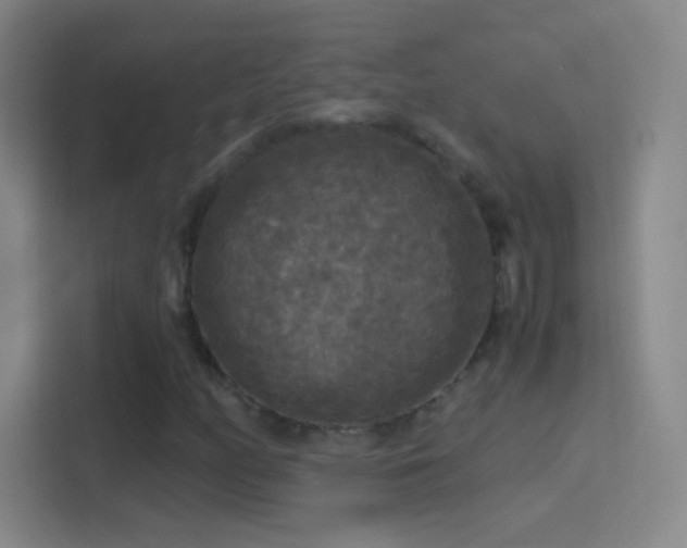 X0000114391158200910231011