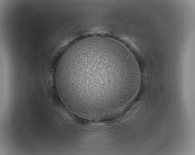 X0000114391159200910231011