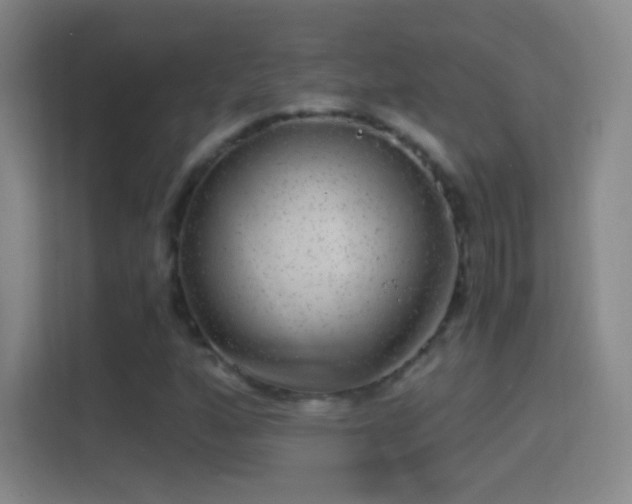 X0000114391160200910231011