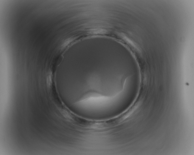 X0000114391161200910231011