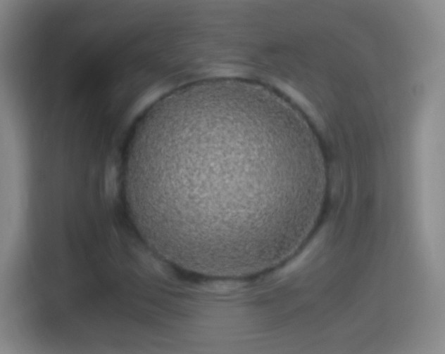 X0000114391163200910231011