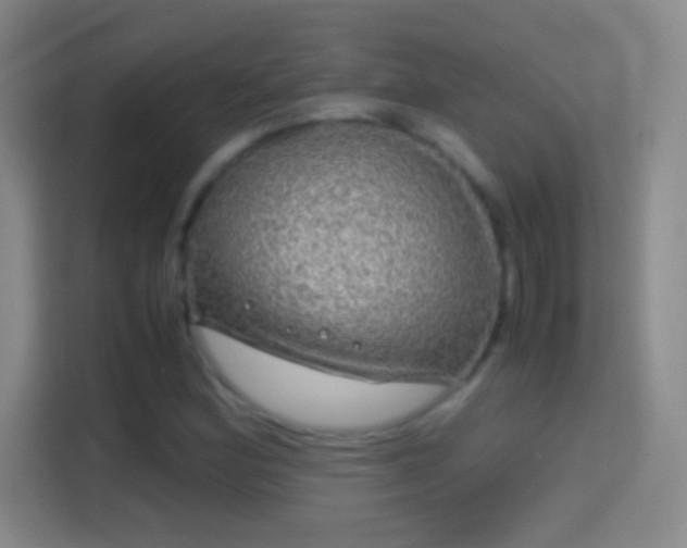 X0000114391164200910231011
