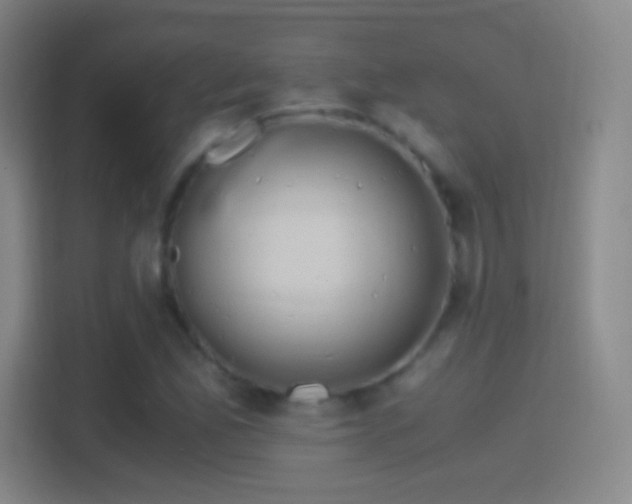 X0000114391165200910231011