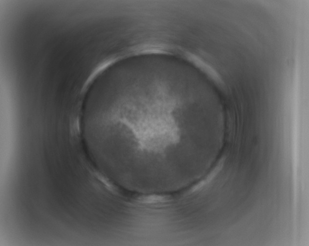 X0000114391166200910231011