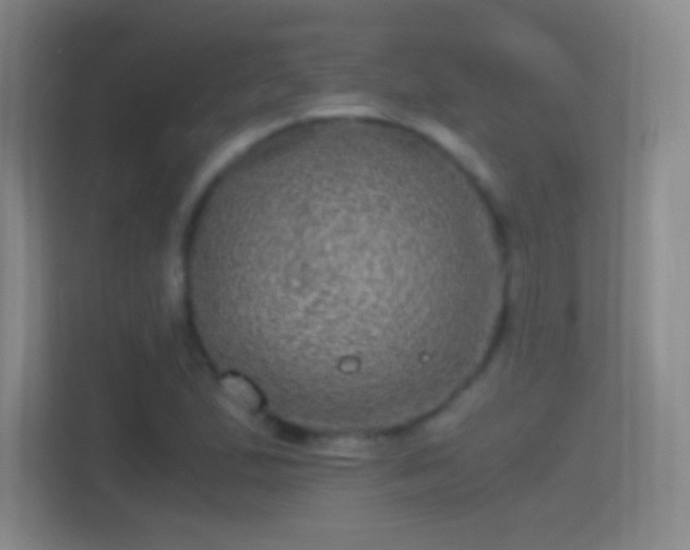 X0000114391167200910231011