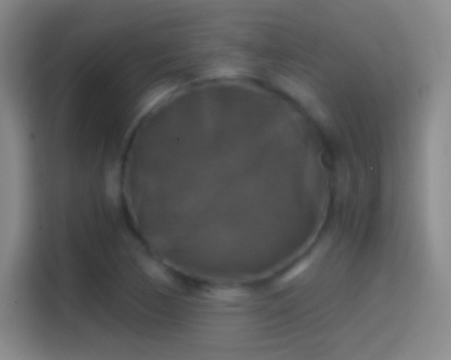 X0000114391170200910231011
