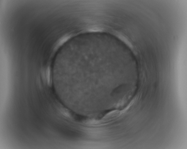 X0000114391171200910231011