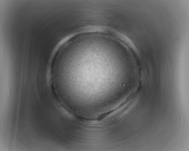 X0000114391172200910231011