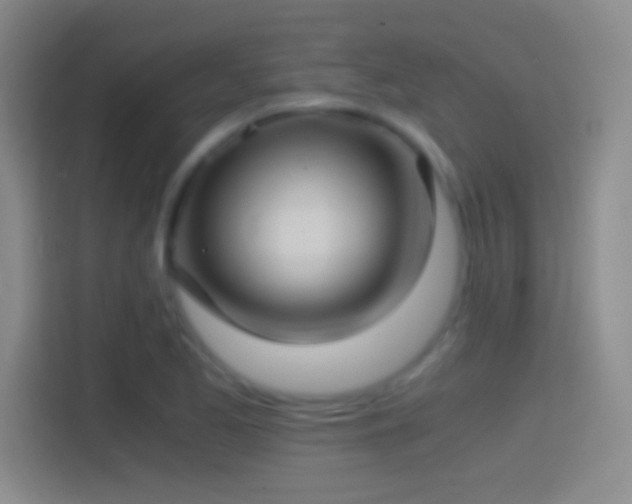 X0000114391173200910231011