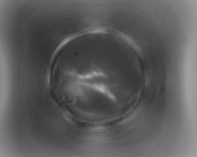 X0000114391174200910231011