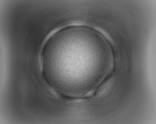 X0000114391175200910231011