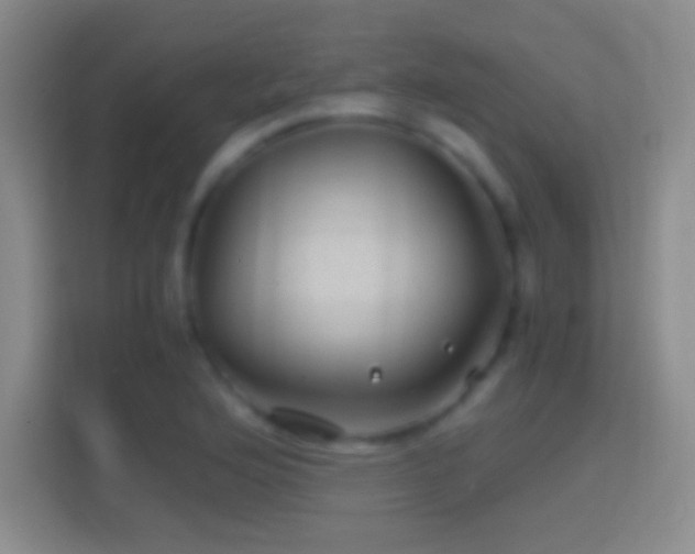 X0000114391176200910231011