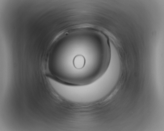 X0000114391177200910231010