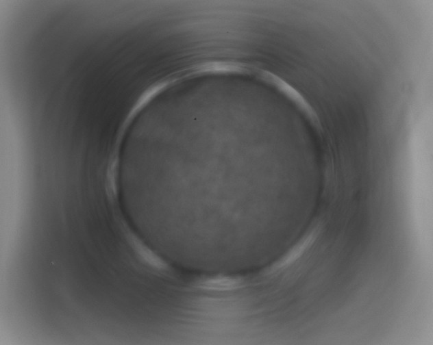 X0000114391178200910231010