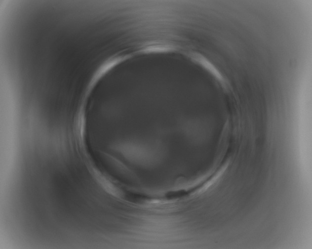 X0000114391179200910231010