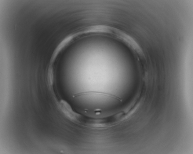 X0000114391180200910231010