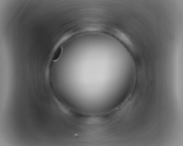 X0000114391181200910231010