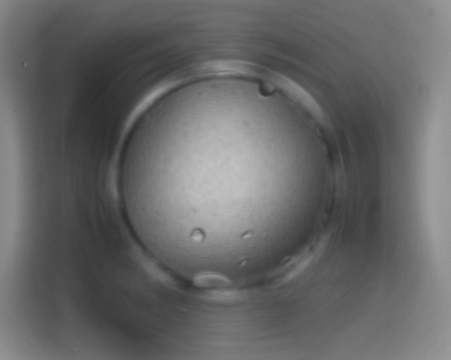 X0000114391182200910231010