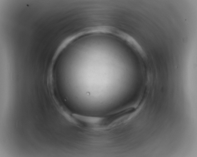 X0000114391184200910231010