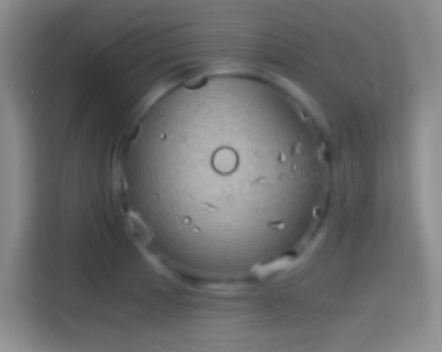 X0000114391185200910231010