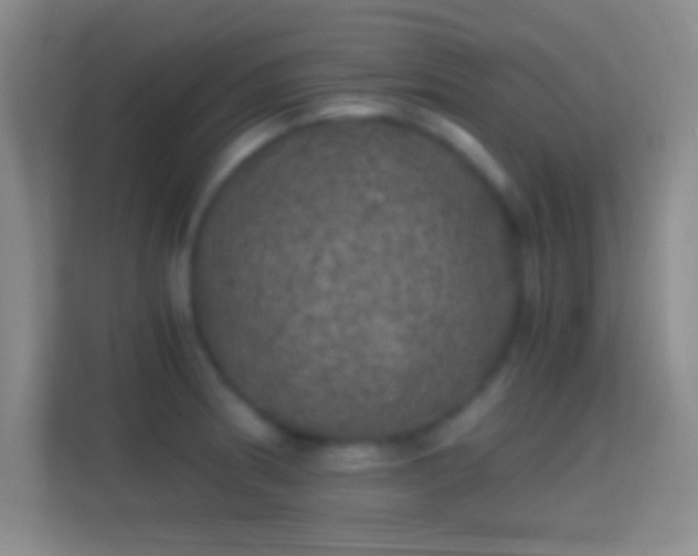 X0000114391186200910231010