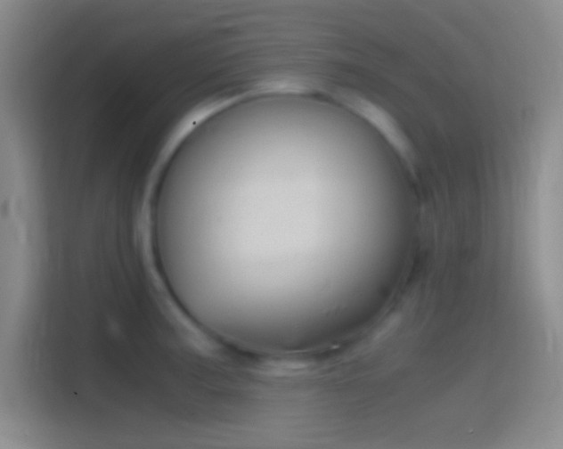 X0000114391187200910231010