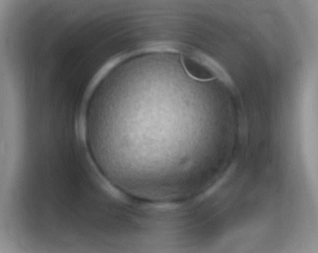 X0000114391188200910231010