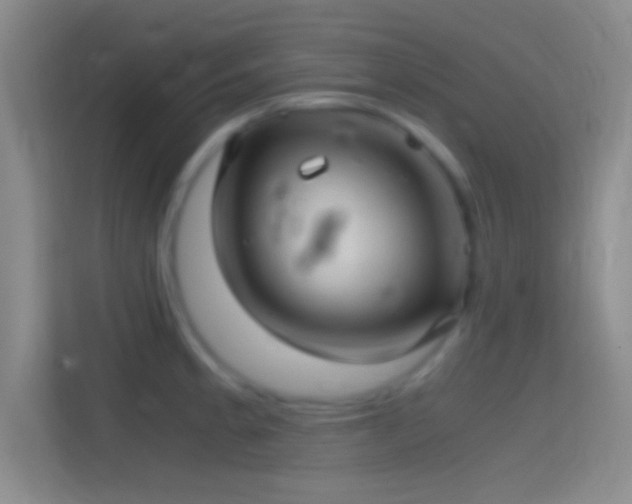 X0000114391189200910231010