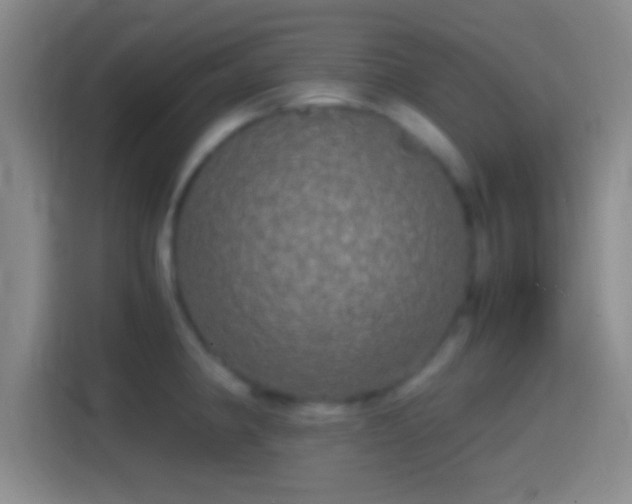 X0000114391190200910231010