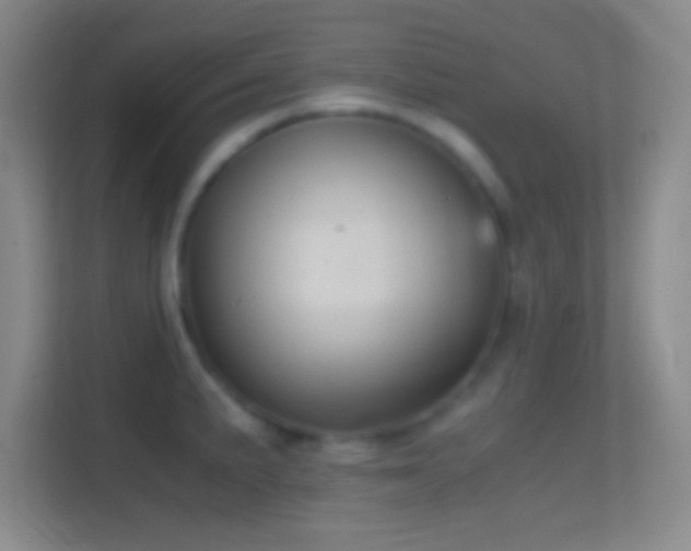 X0000114391191200910231010