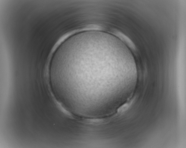X0000114391192200910231010