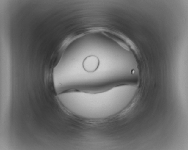 X0000114391193200910231010