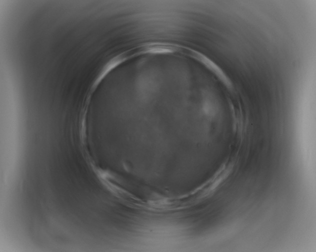 X0000114391194200910231010