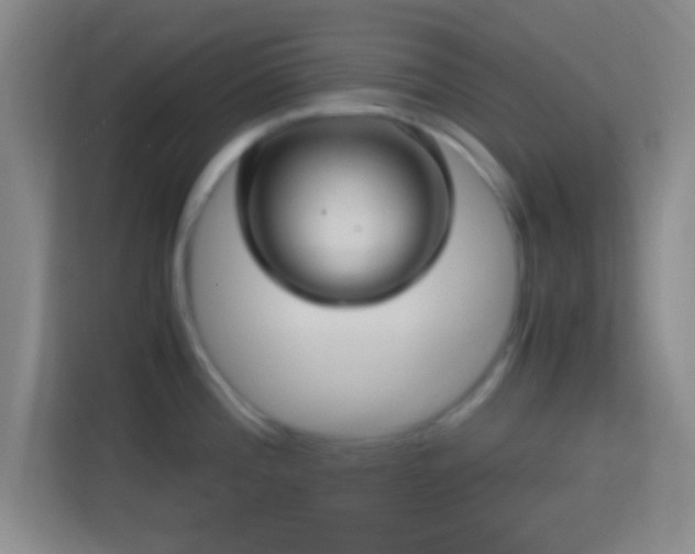 X0000114391196200910231010