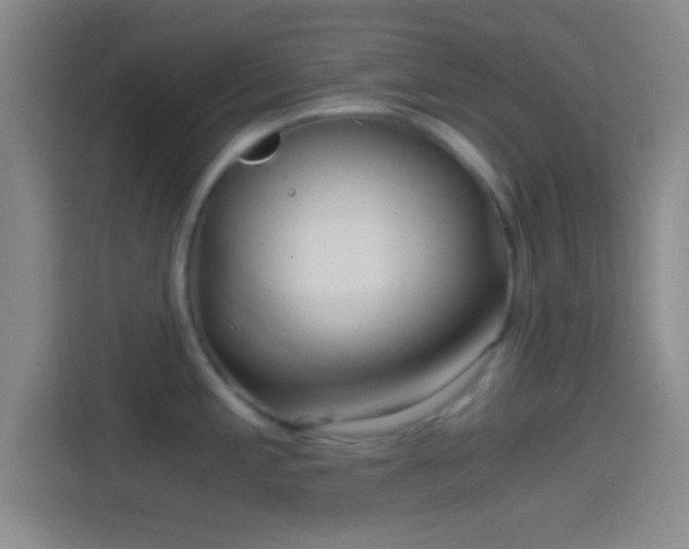 X0000114391197200910231010