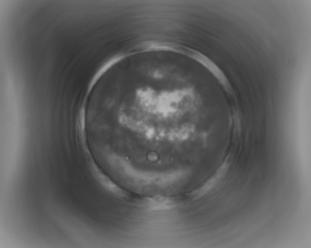 X0000114391198200910231010