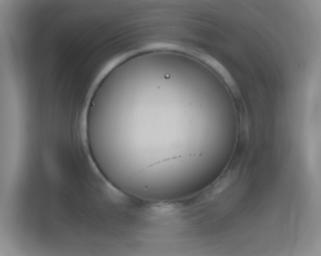 X0000114391199200910231010