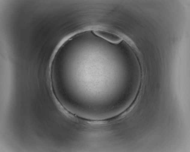 X0000114391200200910231010
