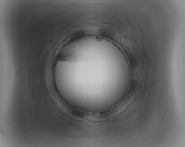 X0000114391201200910231010